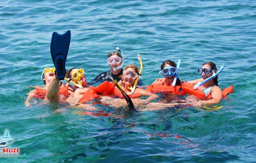 Half Day Hol Chan Marine Reserve Snorkel Tour